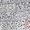 Acrylic Letter Beads, 1450 Pcs 4x7mm Round Alphabet Beads in 28 Grid Box for Jewelry Making, DIY Bracelets (4x7mm, White)